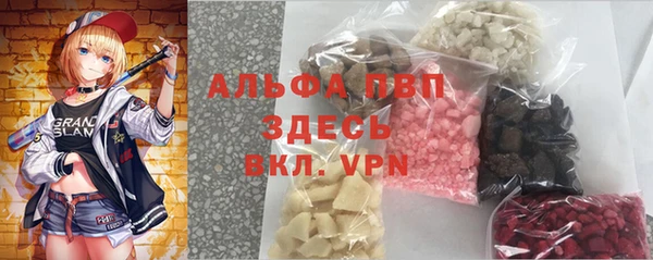 гидра Киренск