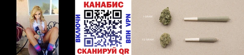 цена   Киржач  Каннабис сатива 
